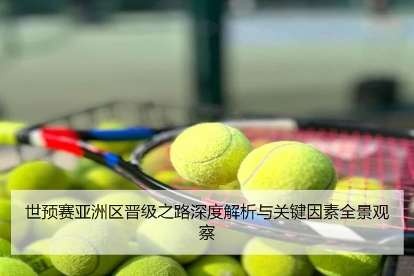 世预赛亚洲区晋级之路深度解析与关键因素全景观察